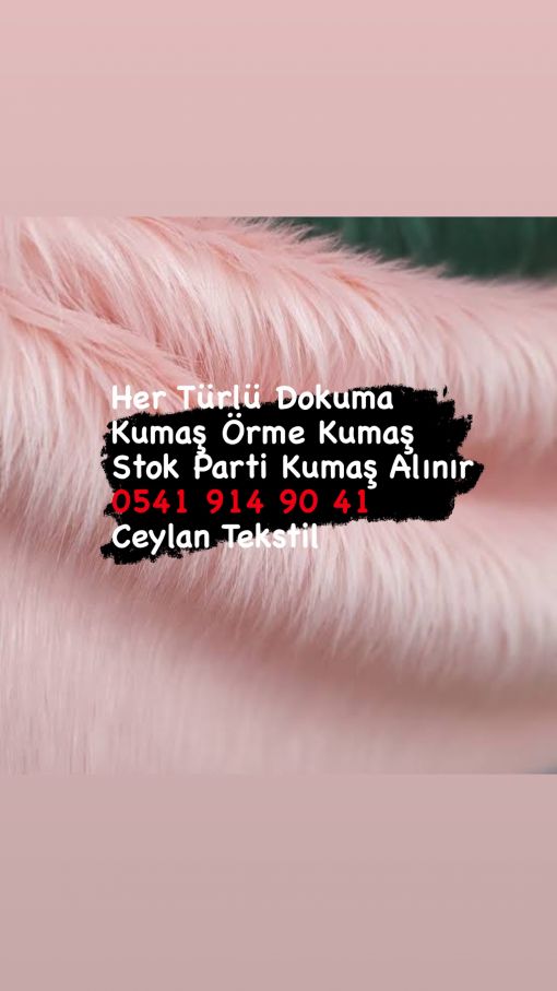  Pelüş kumaş alanlar